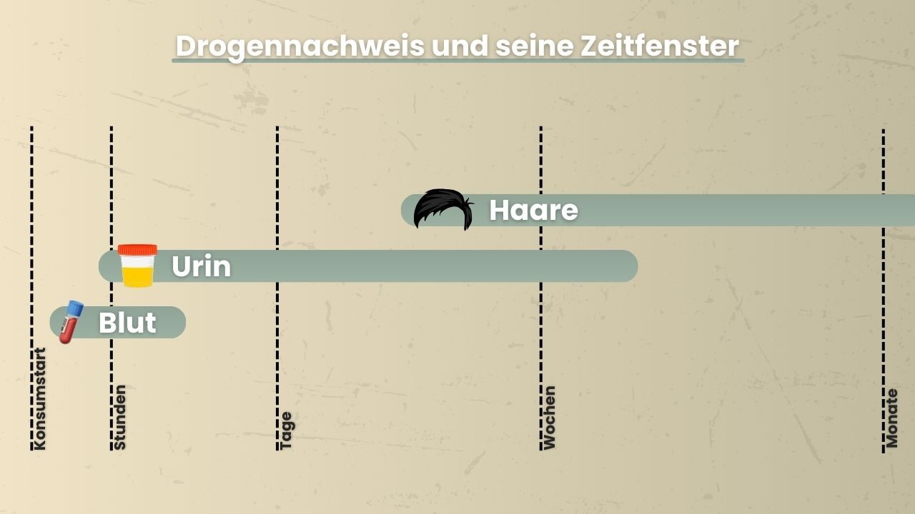 Drogennachweis und seine Zeitfenster