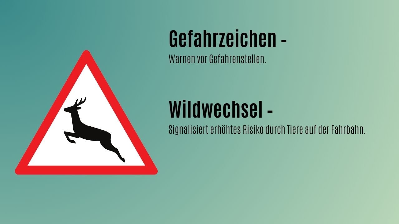 Verkehrsschilder richtig deuten wildwechsel